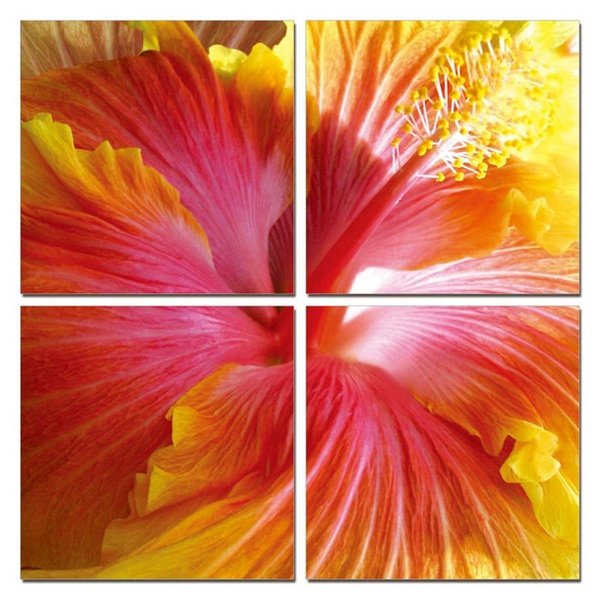 Palacedesigns Hibiscus 4-Panel Photo on Canvas PA2467658